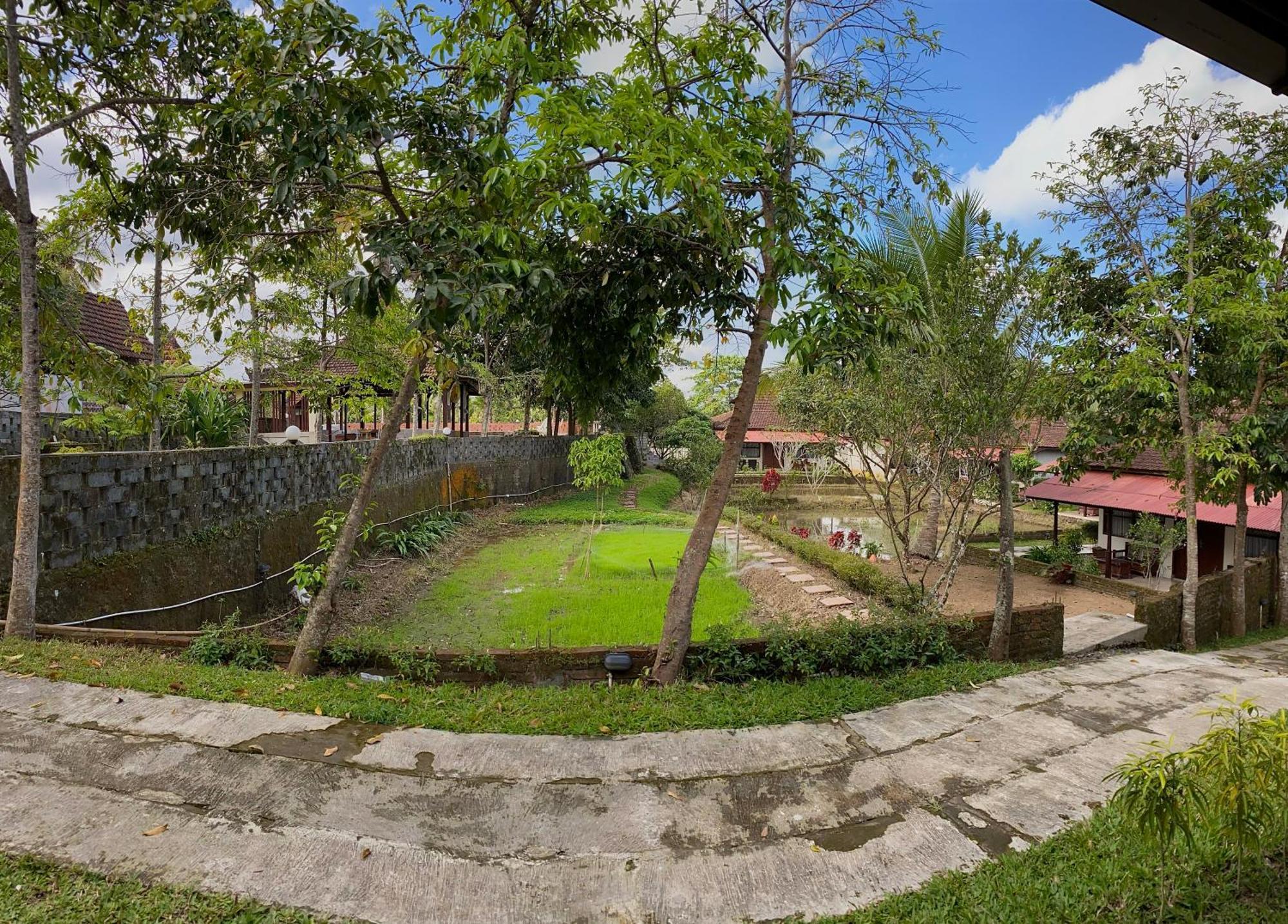 Kampoeng Joglo Ijen Villa Banyuwangi  Kültér fotó