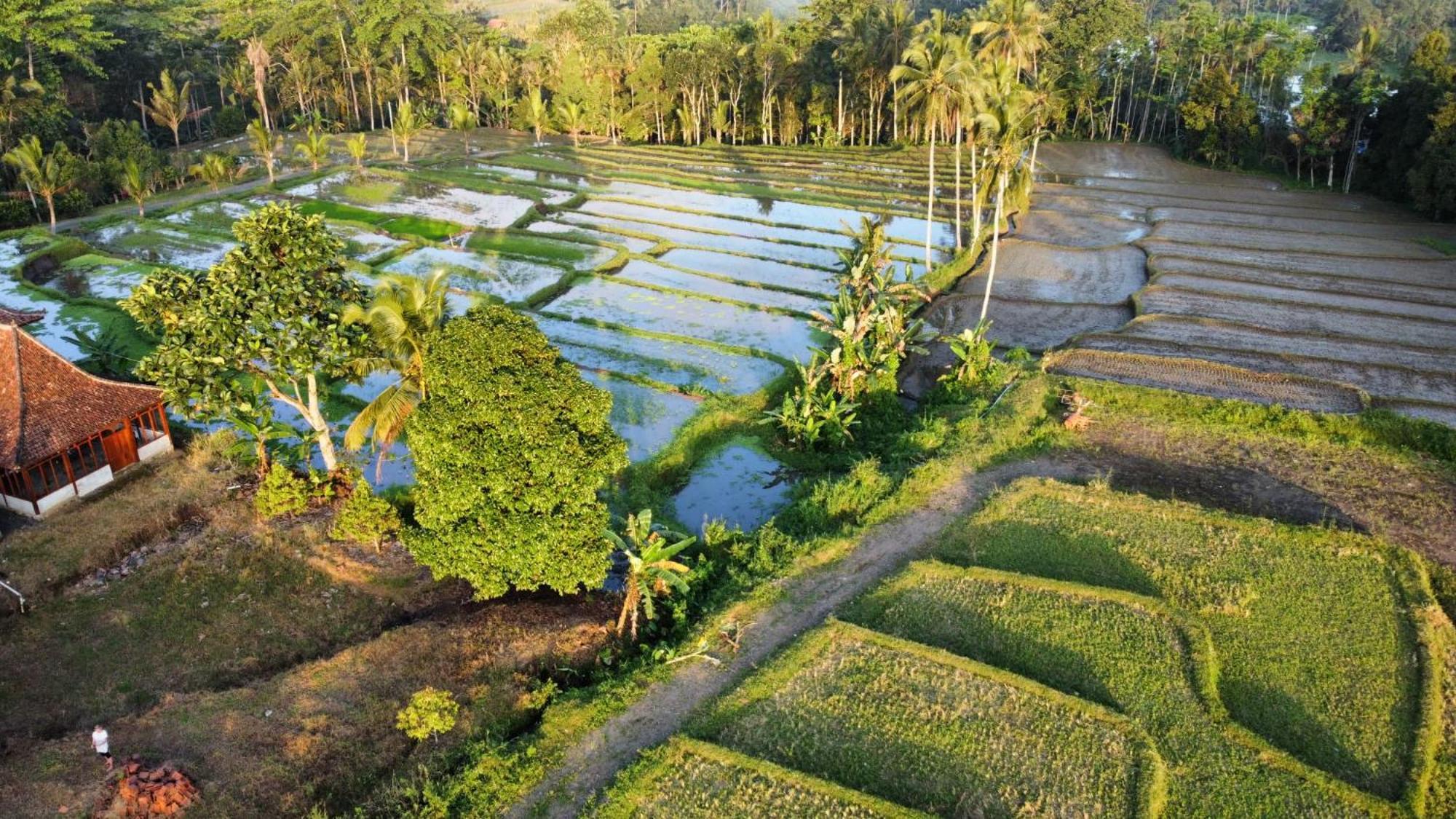 Kampoeng Joglo Ijen Villa Banyuwangi  Kültér fotó