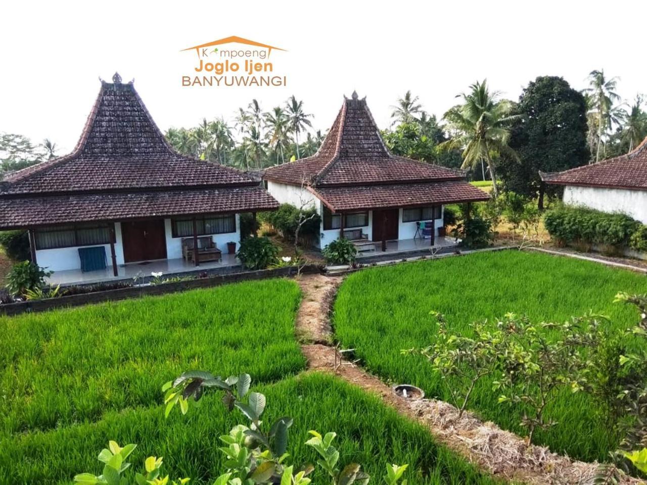 Kampoeng Joglo Ijen Villa Banyuwangi  Kültér fotó